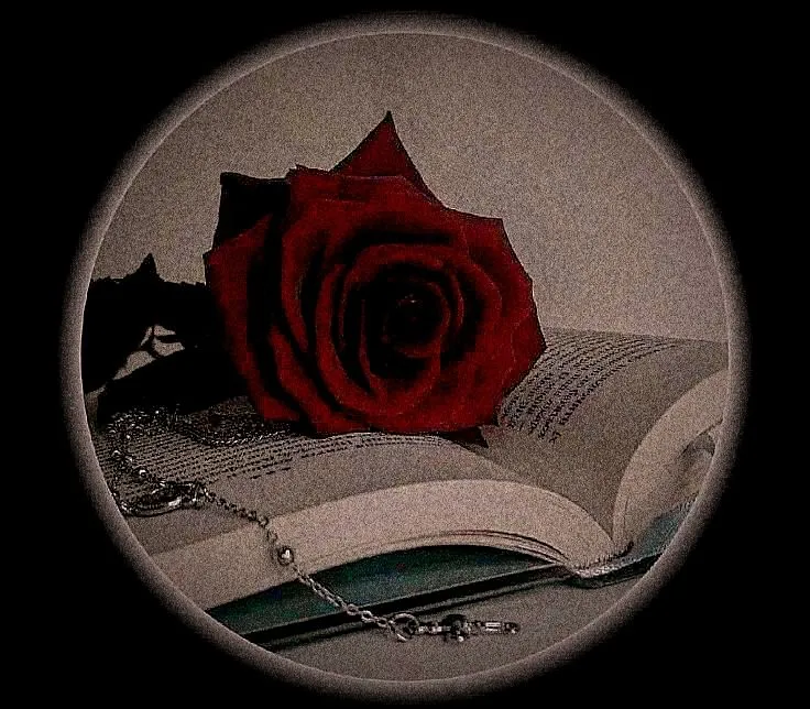 ravzagulsatir Avatar